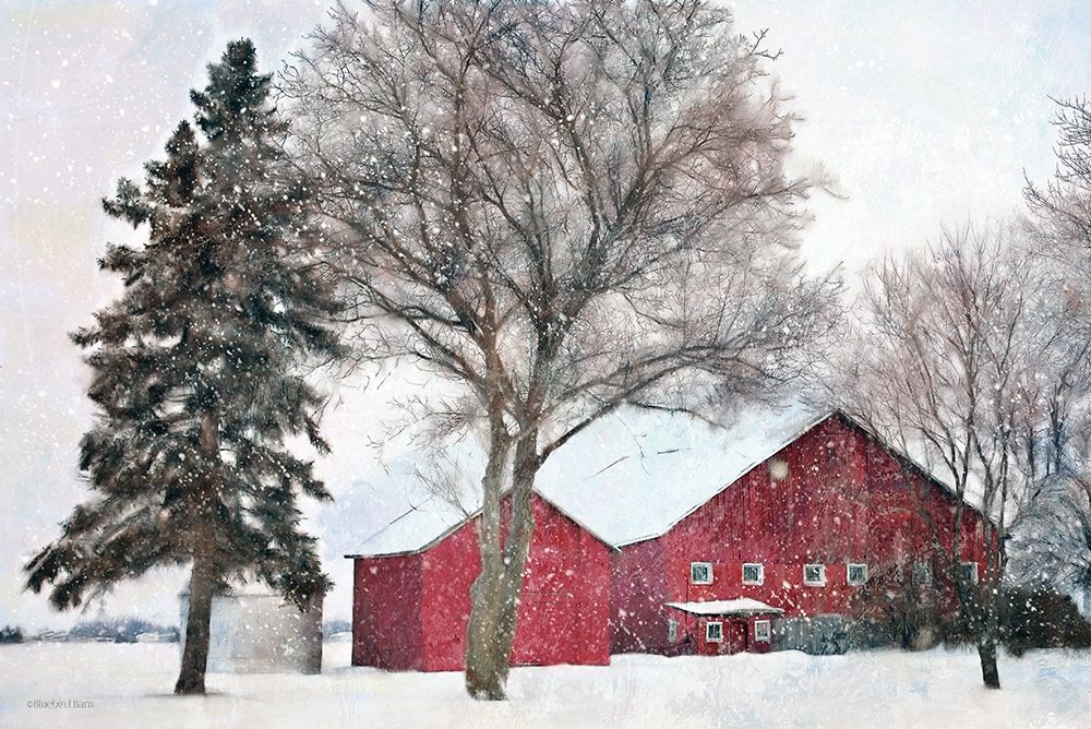 Snowy Barn art print by Bluebird Barn for $57.95 CAD