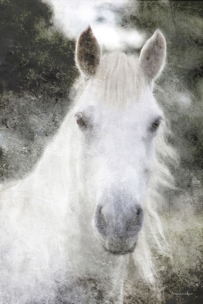 White Horse Mystique art print by Bluebird Barn for $57.95 CAD