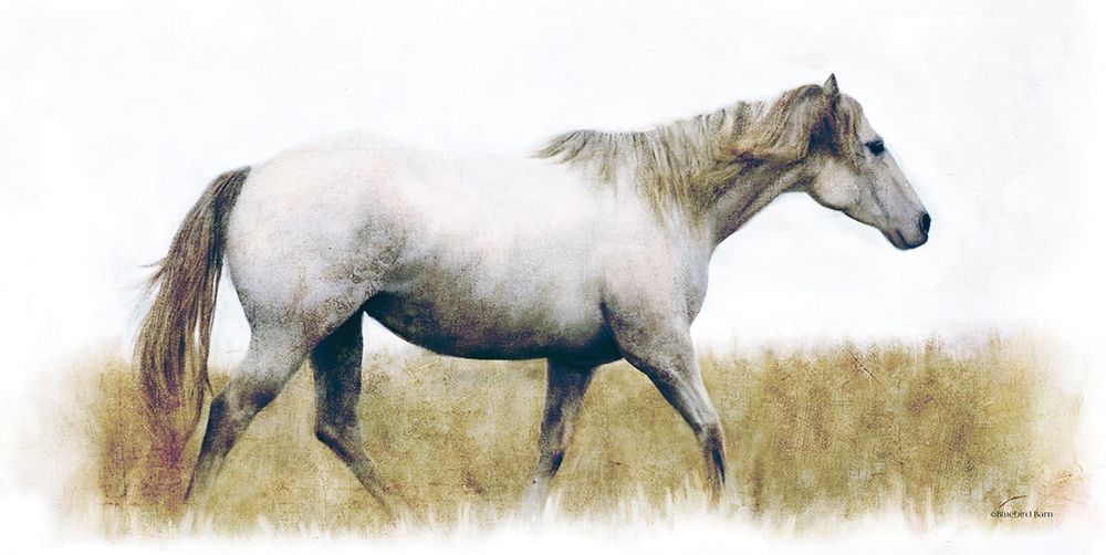 White Horse art print by Bluebird Barn for $57.95 CAD
