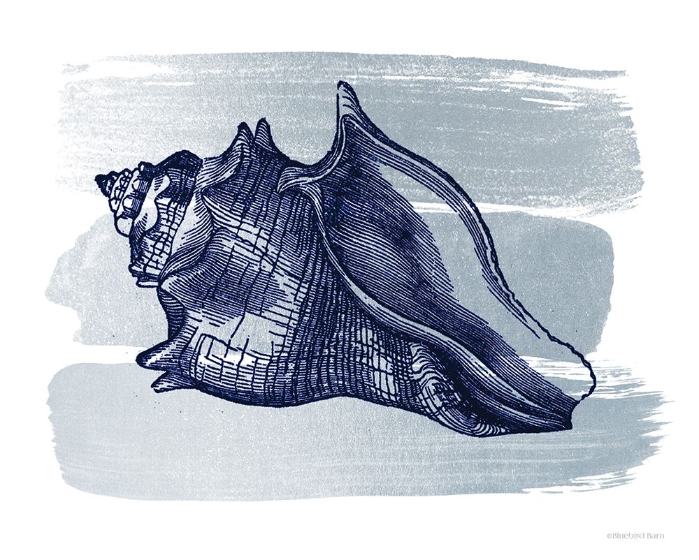 Brushed Midnight Blue Seashell art print by Bluebird Barn for $57.95 CAD