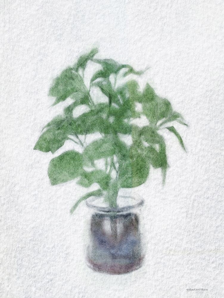 Basil Jar art print by Bluebird Barn for $57.95 CAD