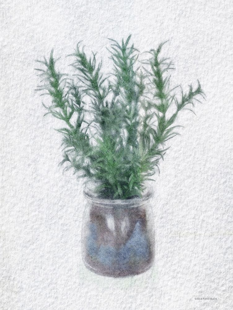 Rosemary Jar art print by Bluebird Barn for $57.95 CAD