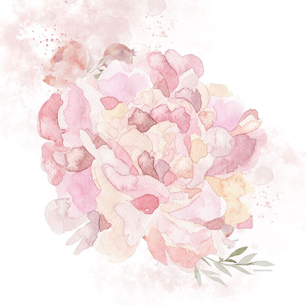 Cottage Peony I art print by Bluebird Barn for $57.95 CAD