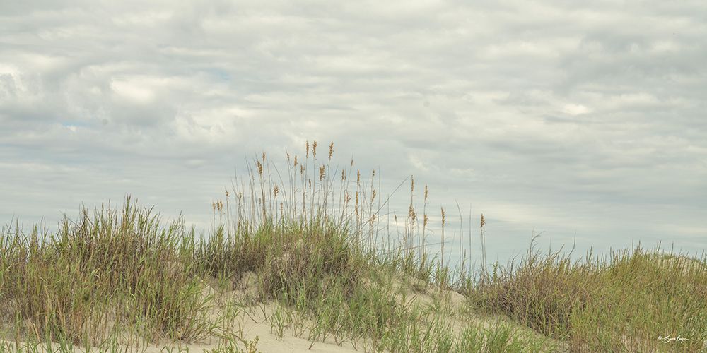 Clouds on the Beach art print by Susie Boyer for $57.95 CAD