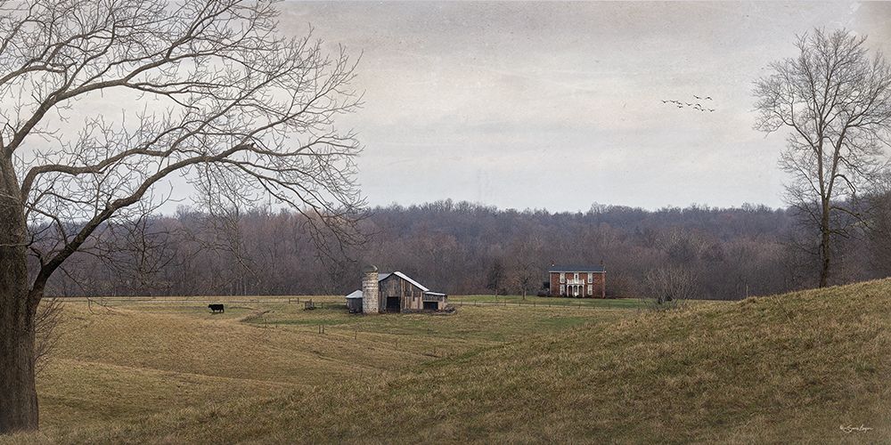 Cane Run Farm art print by Susie Boyer for $57.95 CAD