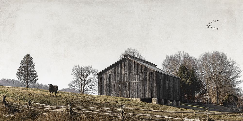 River Country Barn art print by Susie Boyer for $57.95 CAD