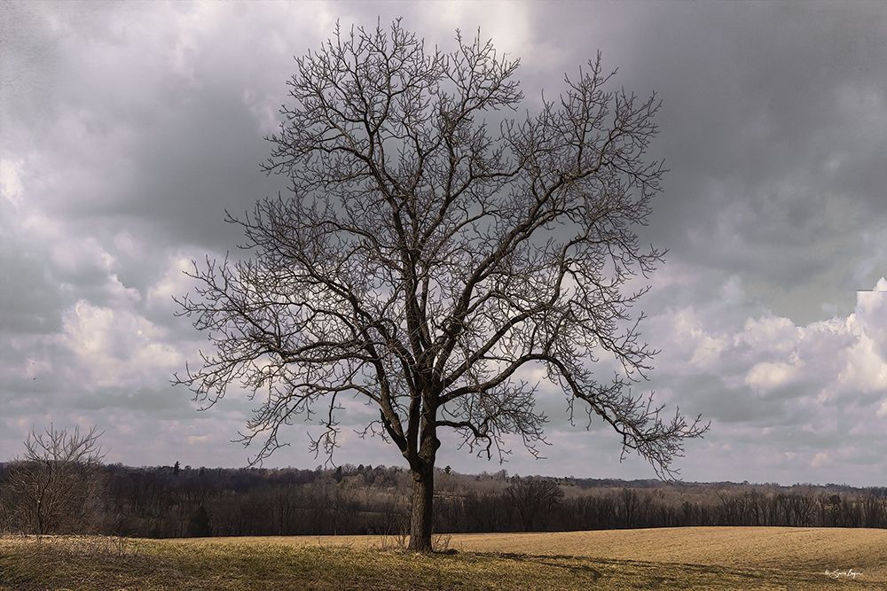All Alone art print by Susie Boyer for $57.95 CAD