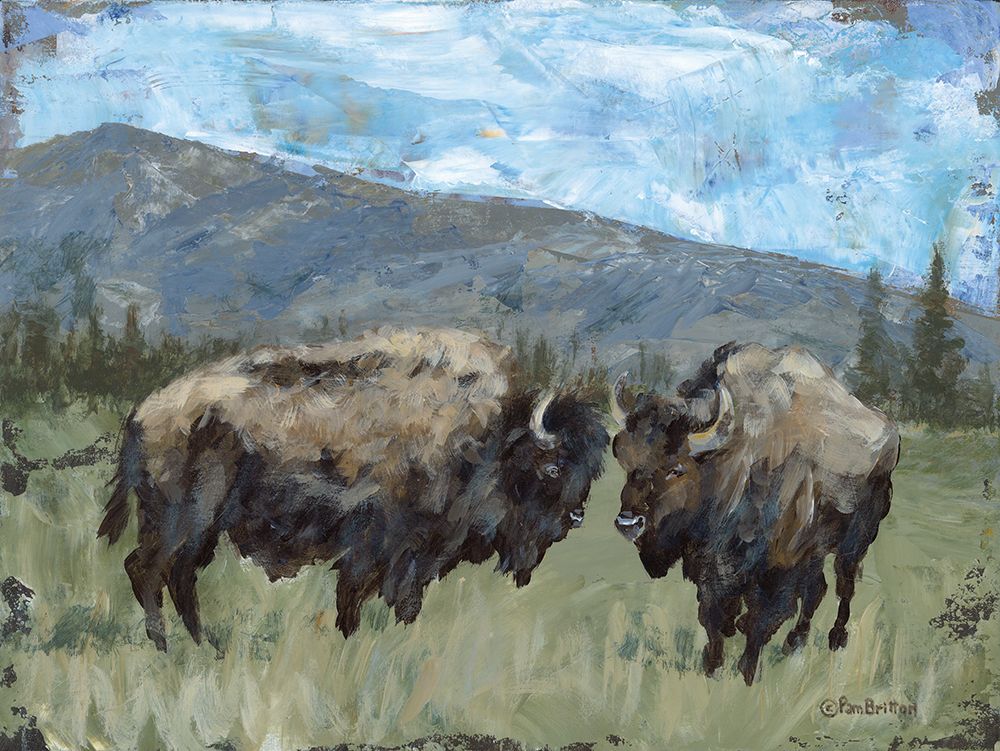 High Country Bison art print by Pam Britton for $57.95 CAD