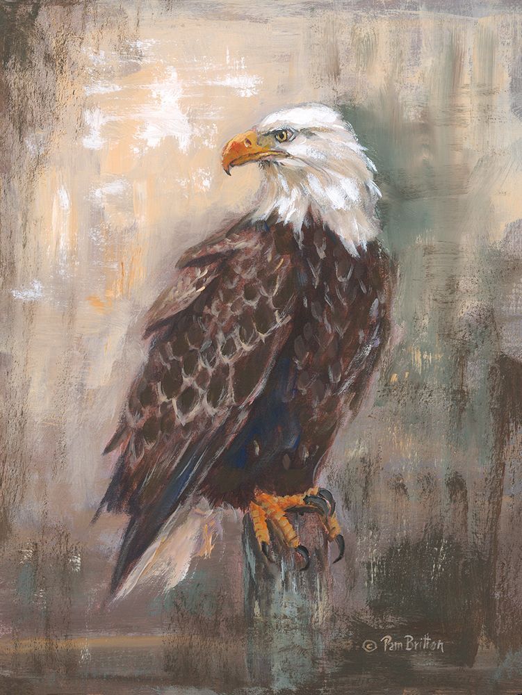 Panhandle Eagle art print by Pam Britton for $57.95 CAD