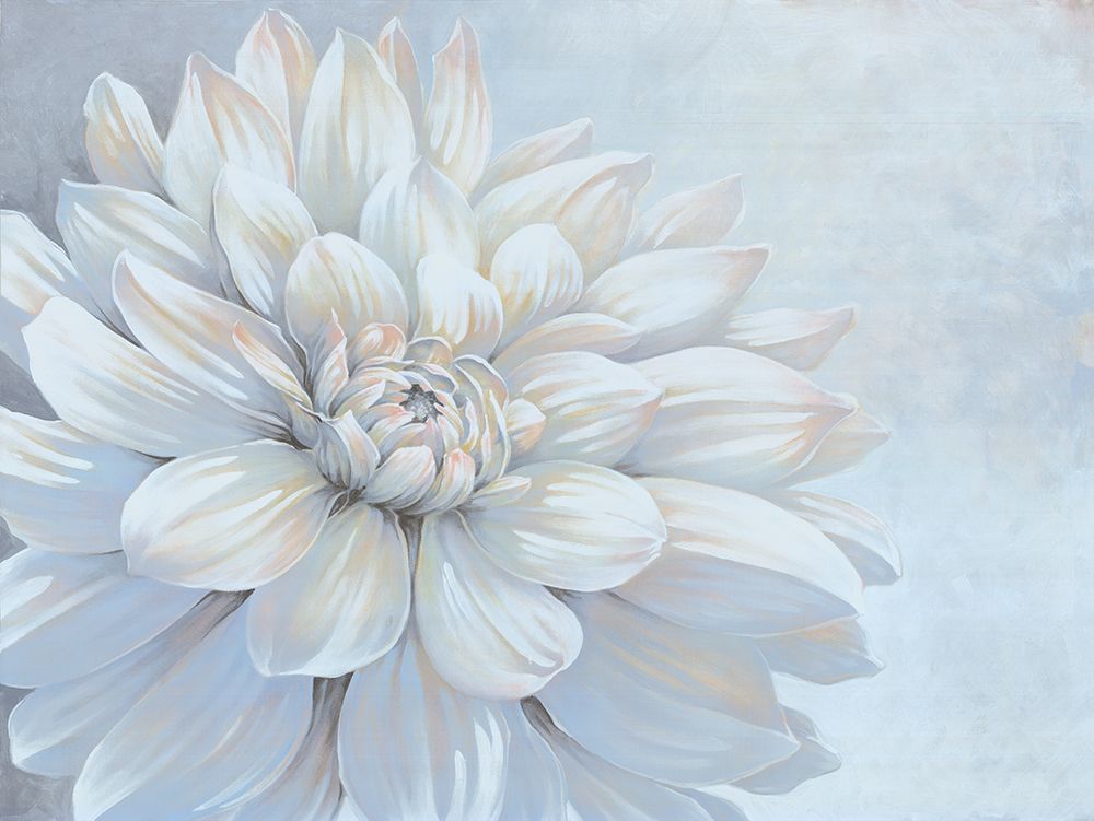 Dahlia Dreams art print by Cloverfield And Co. for $57.95 CAD