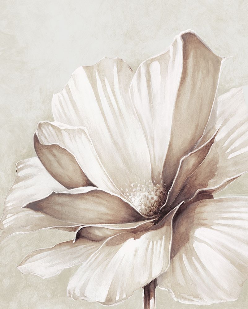 Shadows art print by Cloverfield And Co. for $57.95 CAD