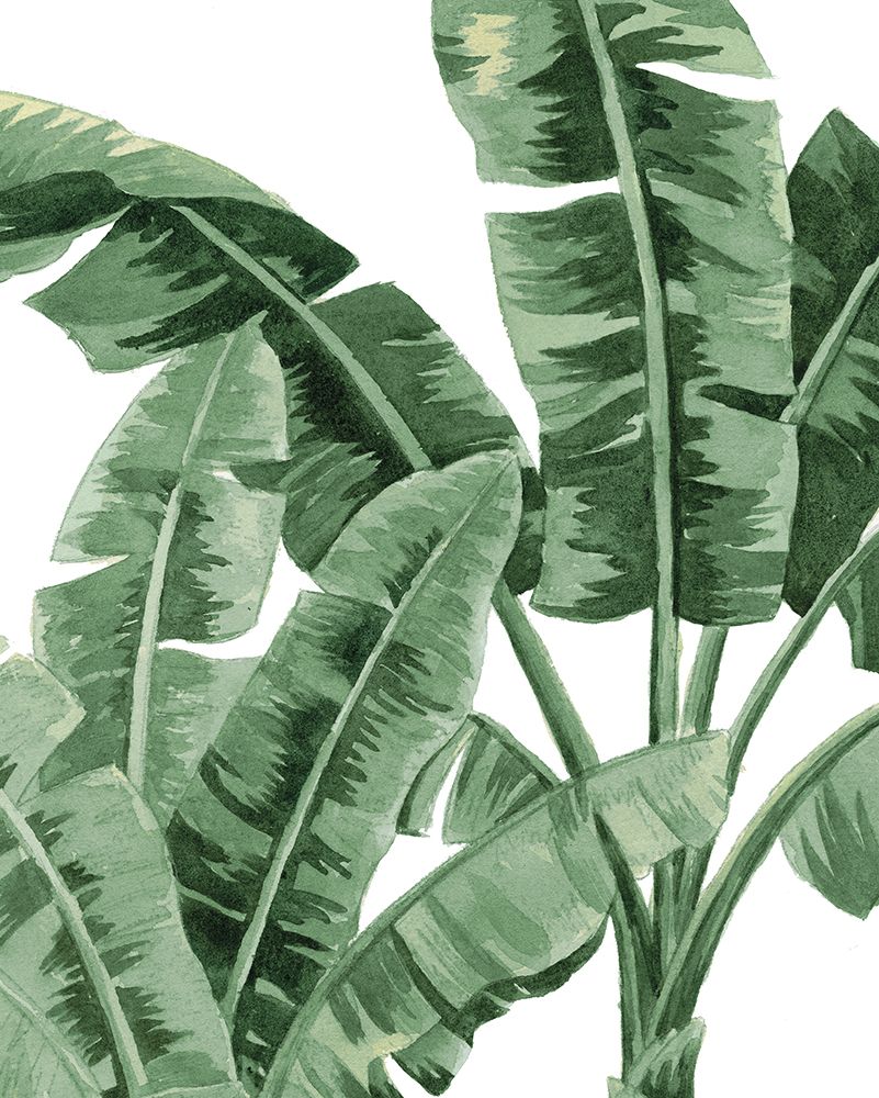 Birds of Paradise art print by Cloverfield And Co. for $57.95 CAD