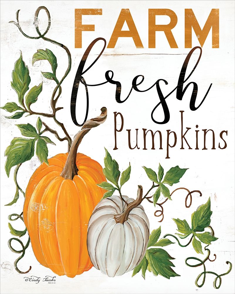 Farm Fresh Pumpkins art print by Cindy Jacobs for $57.95 CAD