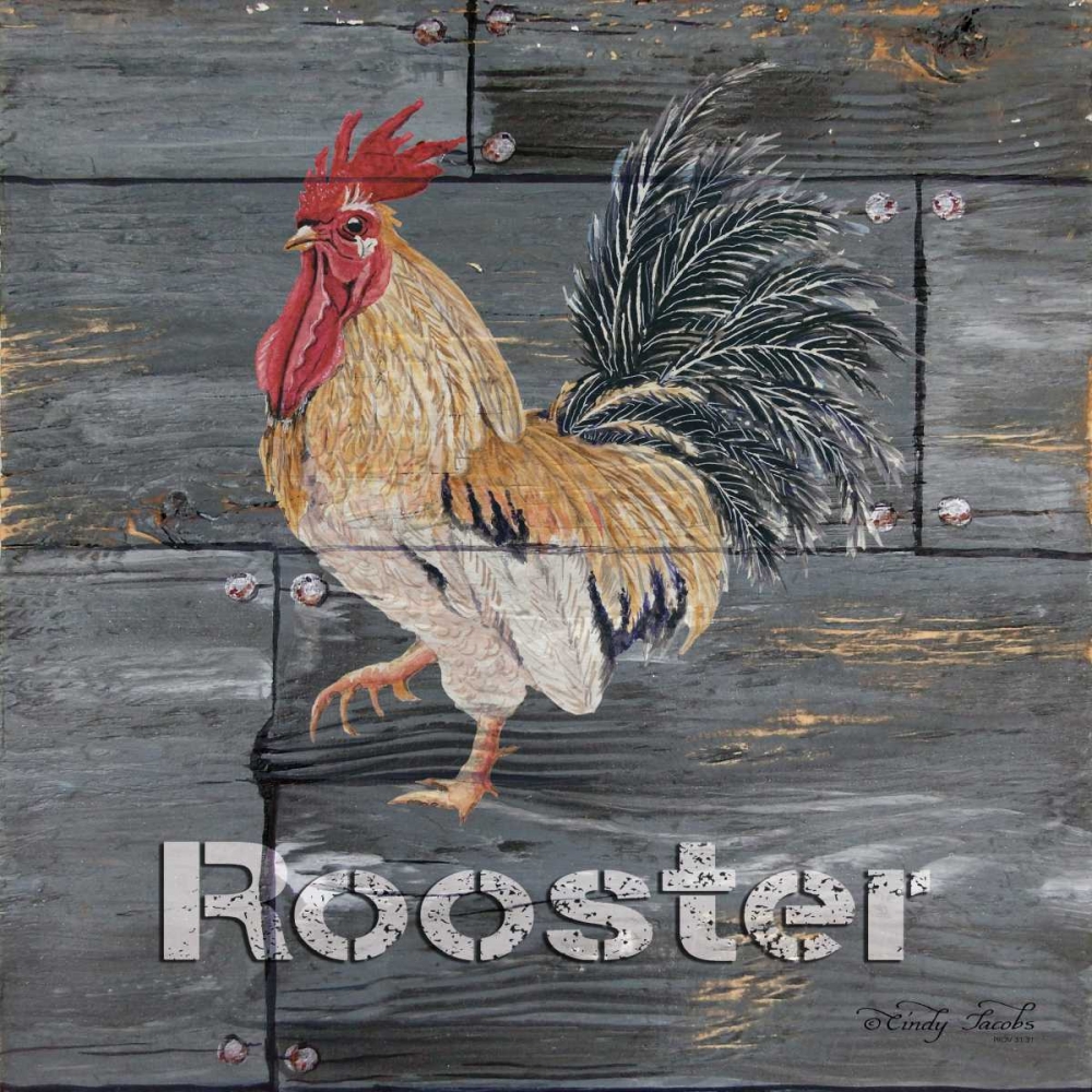 Rooster art print by Cindy Jacobs for $57.95 CAD