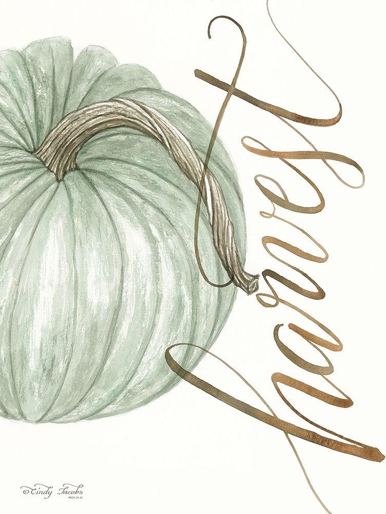 Harvest Pumpkin art print by Cindy Jacobs for $57.95 CAD