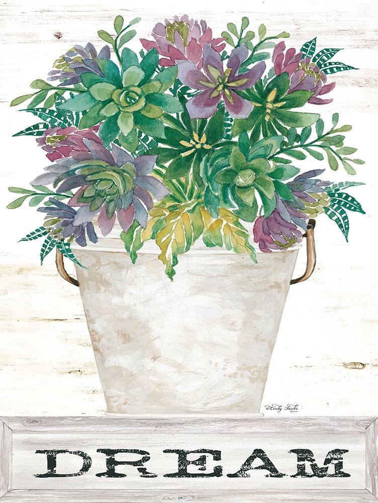 Dream Succulents art print by Cindy Jacobs for $57.95 CAD