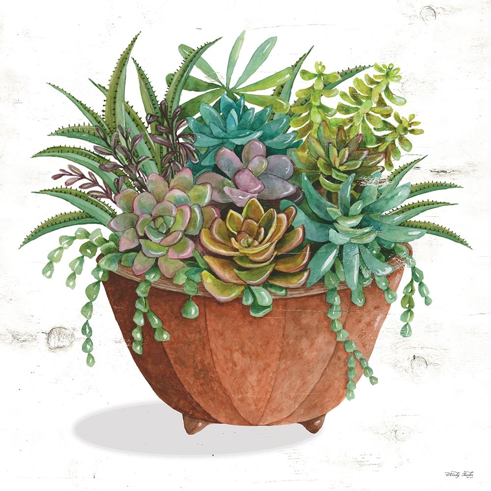Terracotta Succulents I art print by Cindy Jacobs for $57.95 CAD