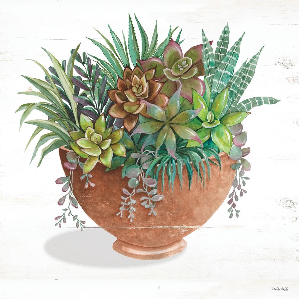 Terracotta Succulents II art print by Cindy Jacobs for $57.95 CAD