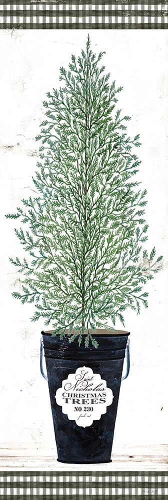 Cedar Tree art print by Cindy Jacobs for $57.95 CAD