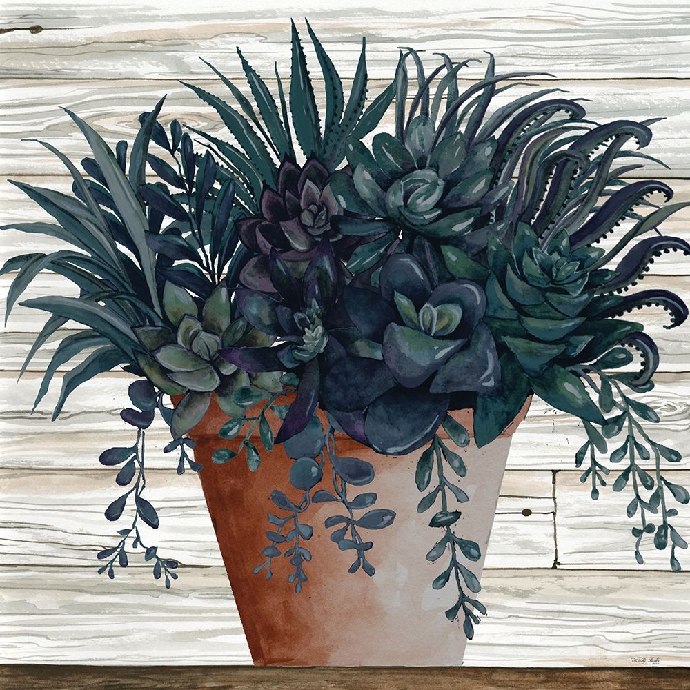 Remarkable Succulents I art print by Cindy Jacobs for $57.95 CAD
