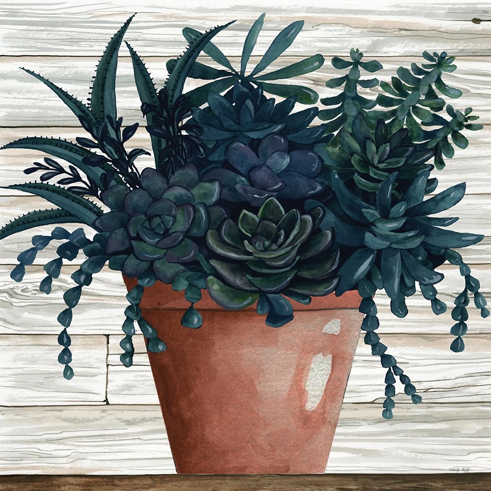 Remarkable Succulents III art print by Cindy Jacobs for $57.95 CAD