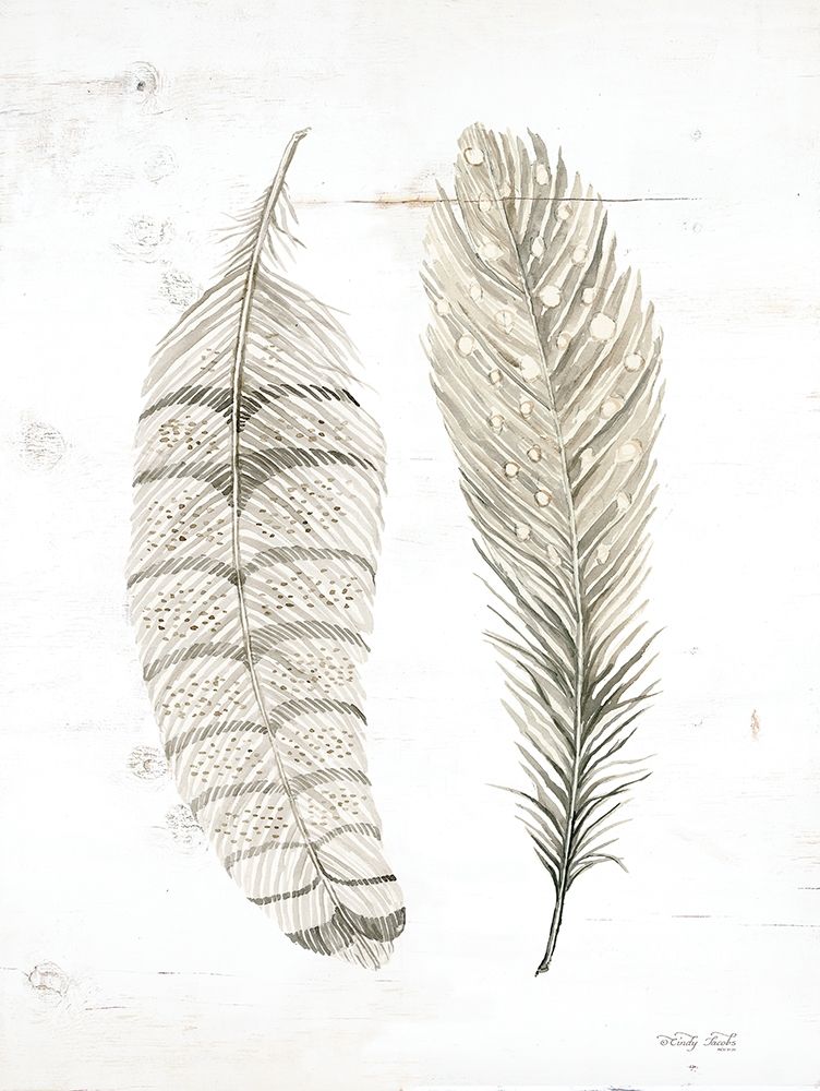 Feather I art print by Cindy Jacobs for $57.95 CAD