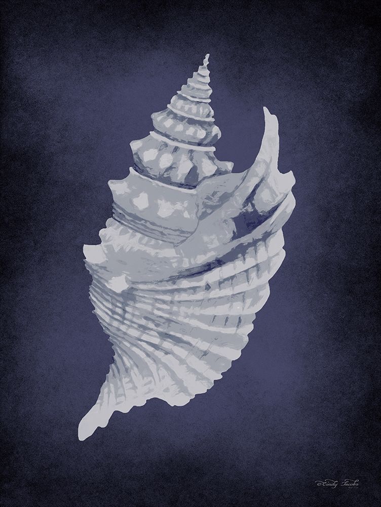 Blue Seashell I art print by Cindy Jacobs for $57.95 CAD