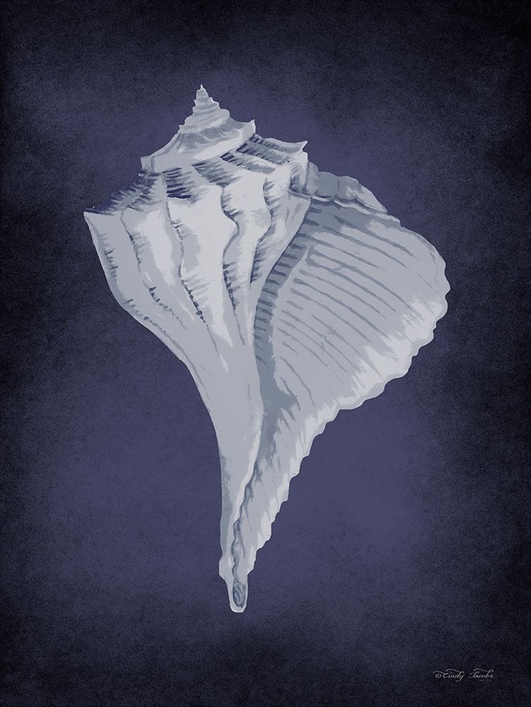 Blue Seashell II art print by Cindy Jacobs for $57.95 CAD