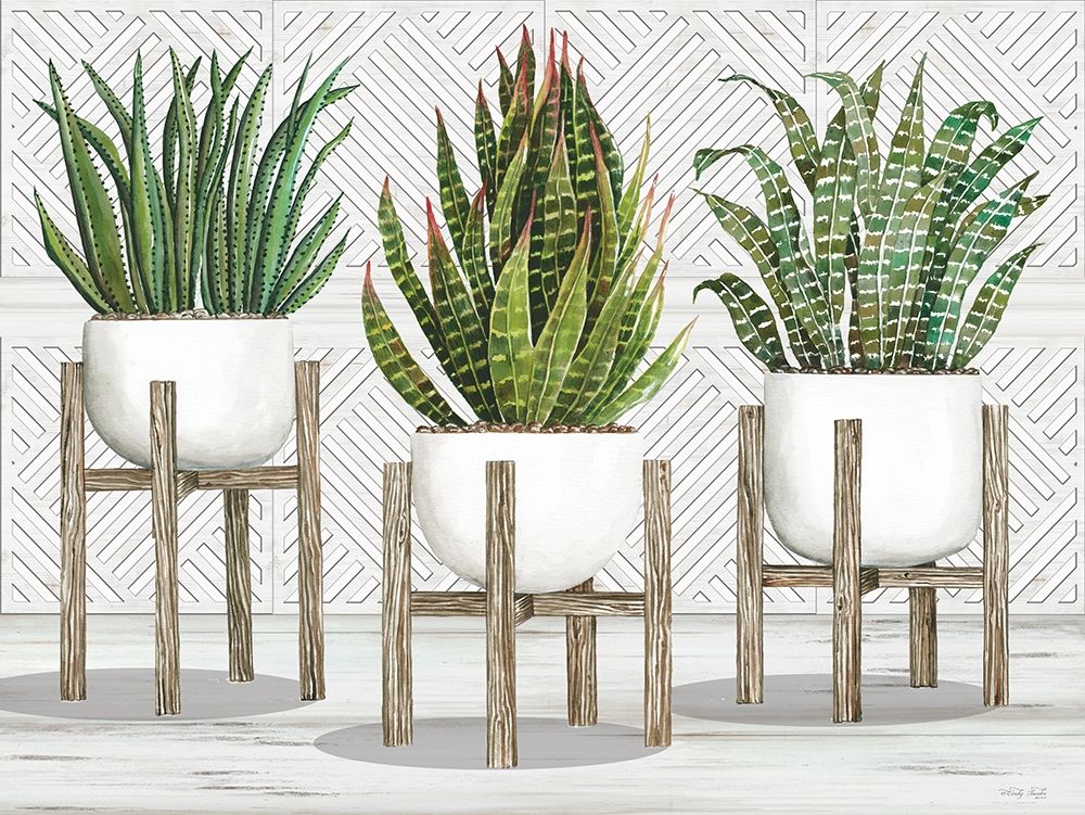 Succulent Trio on Stands art print by Cindy Jacobs for $57.95 CAD