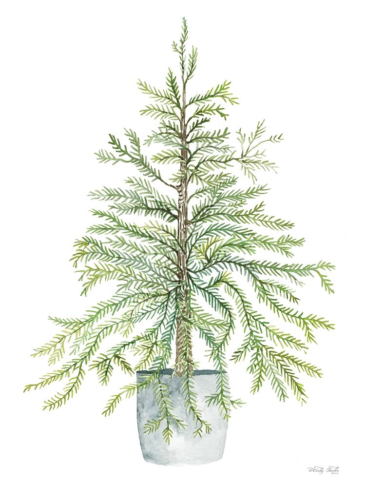 Pine Tree in Pot art print by Cindy Jacobs for $57.95 CAD