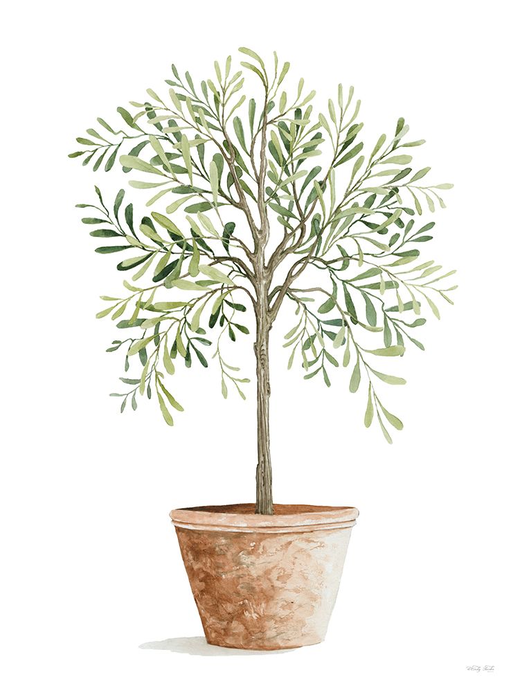 Topiary II art print by Cindy Jacobs for $57.95 CAD