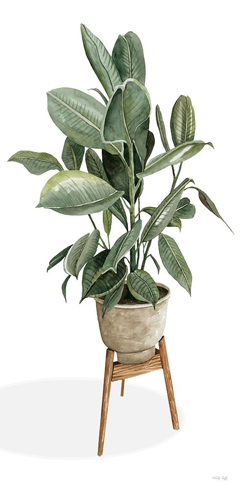 Potted Plant art print by Cindy Jacobs for $57.95 CAD