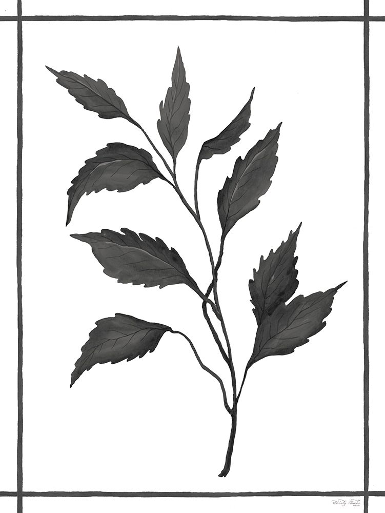 Leaf Collection III art print by Cindy Jacobs for $57.95 CAD