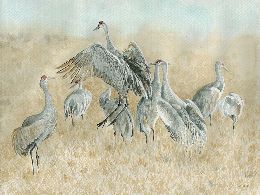 Dance of the Cranes art print by Cindy Jacobs for $57.95 CAD