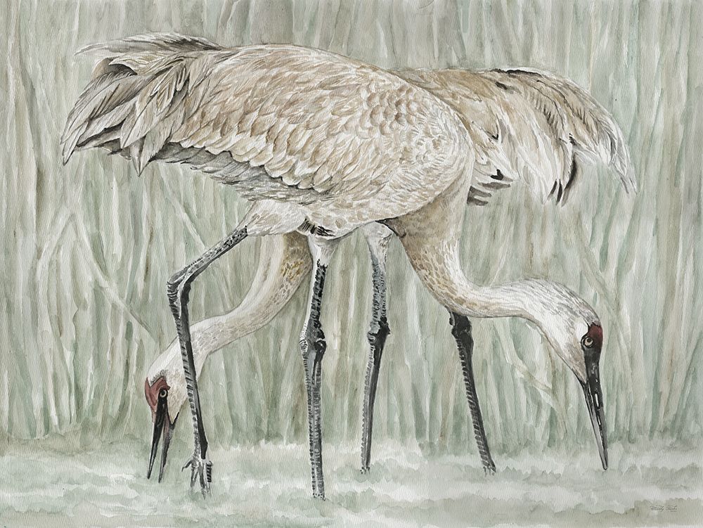 Feeding Frenzy art print by Cindy Jacobs for $57.95 CAD