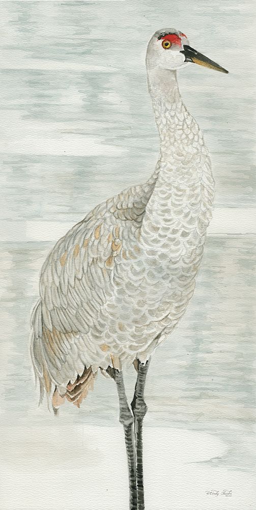Winter Waters art print by Cindy Jacobs for $57.95 CAD