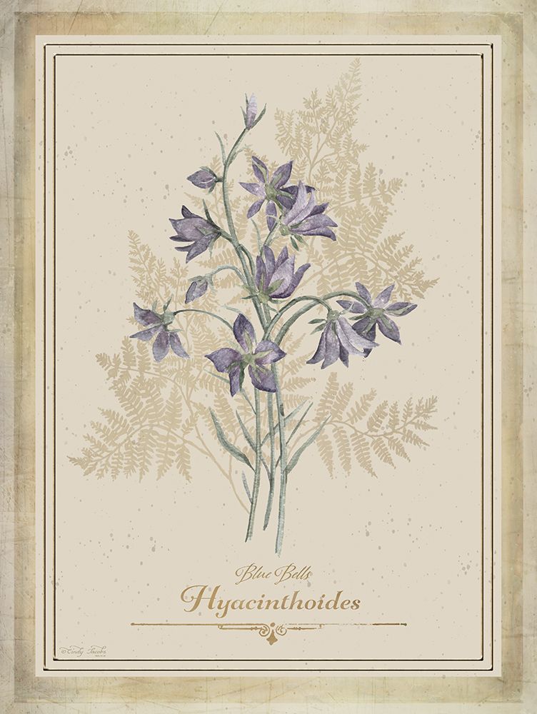 Vintage Botanical I art print by Cindy Jacobs for $57.95 CAD