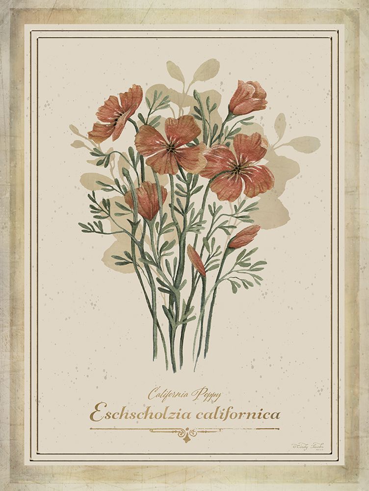 Vintage Botanical IV art print by Cindy Jacobs for $57.95 CAD