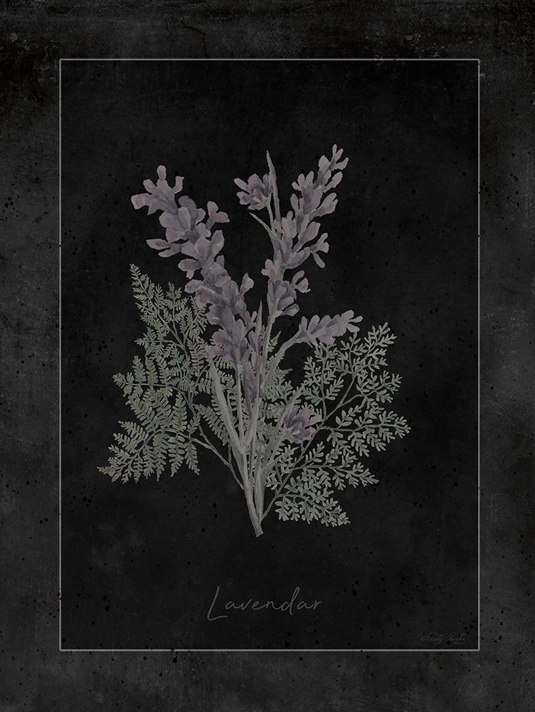 Lavendar Botanical on Black art print by Cindy Jacobs for $57.95 CAD