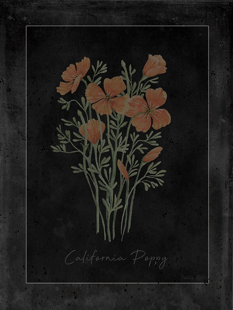 Poppy Botanical on Black art print by Cindy Jacobs for $57.95 CAD