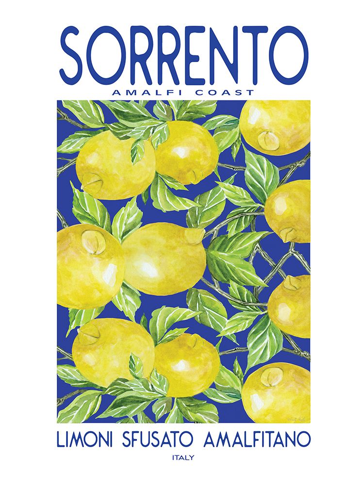 Sorrento Amalfi Coast art print by Cindy Jacobs for $57.95 CAD