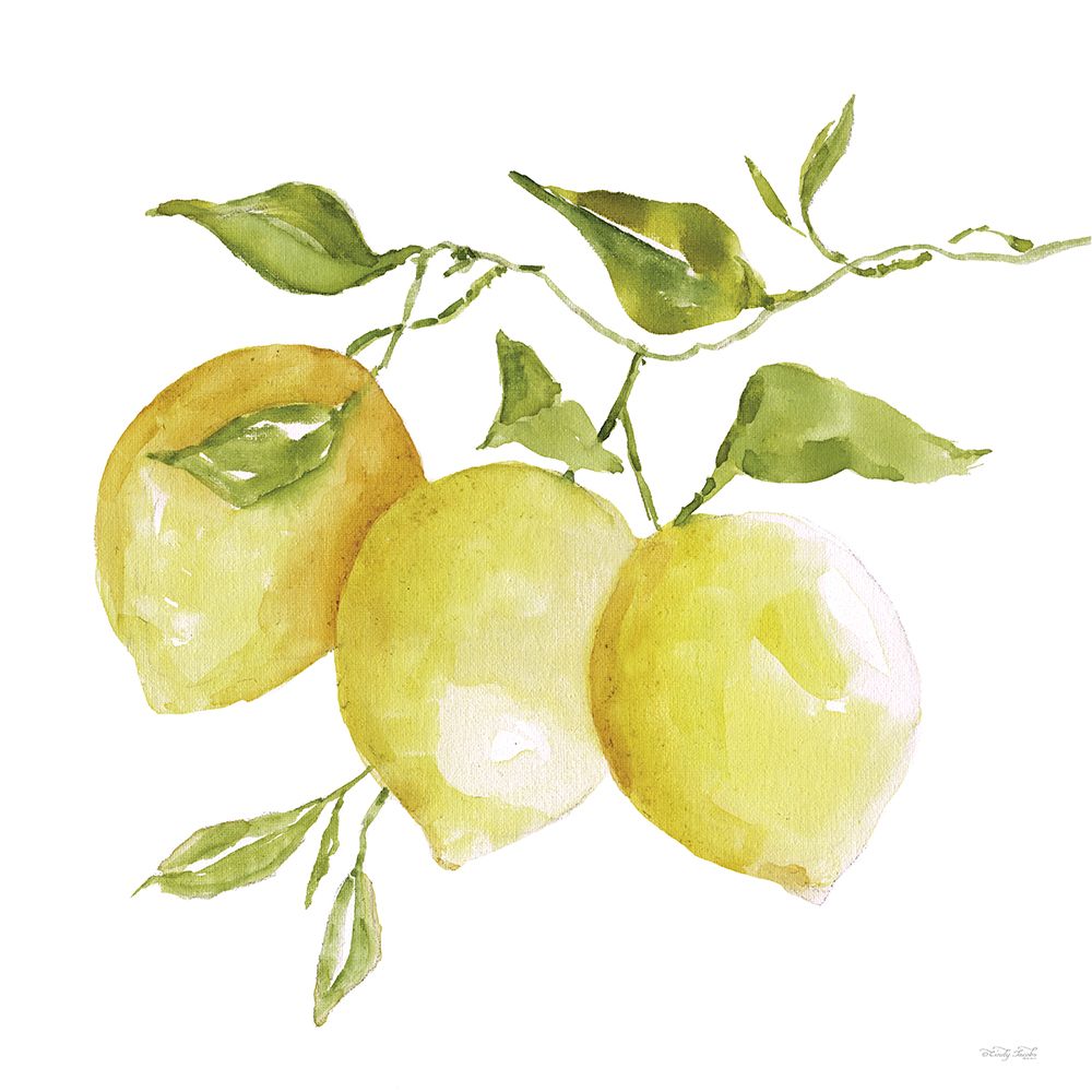 Lemon Trio I art print by Cindy Jacobs for $57.95 CAD