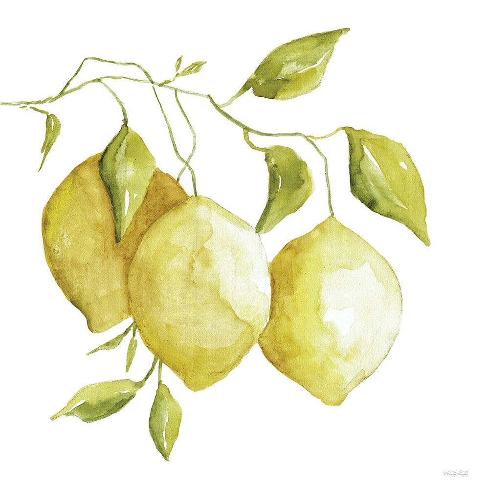 Lemon Trio II art print by Cindy Jacobs for $57.95 CAD