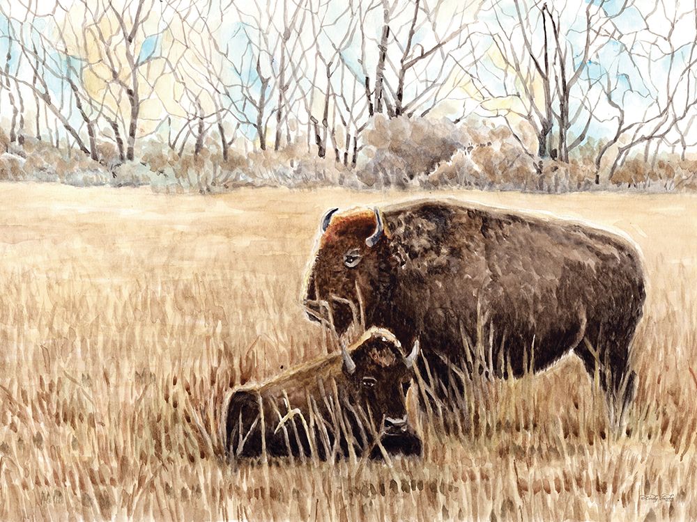 Tatanka in Winter art print by Cindy Jacobs for $57.95 CAD
