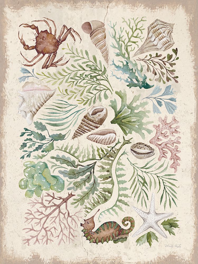 Treasures of the Tide II art print by Cindy Jacobs for $57.95 CAD