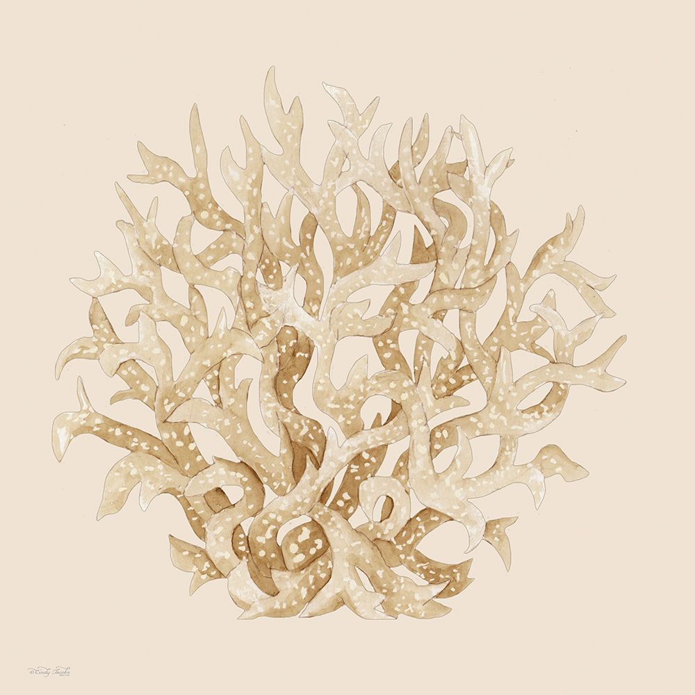 Pale Coral Portrait II art print by Cindy Jacobs for $57.95 CAD