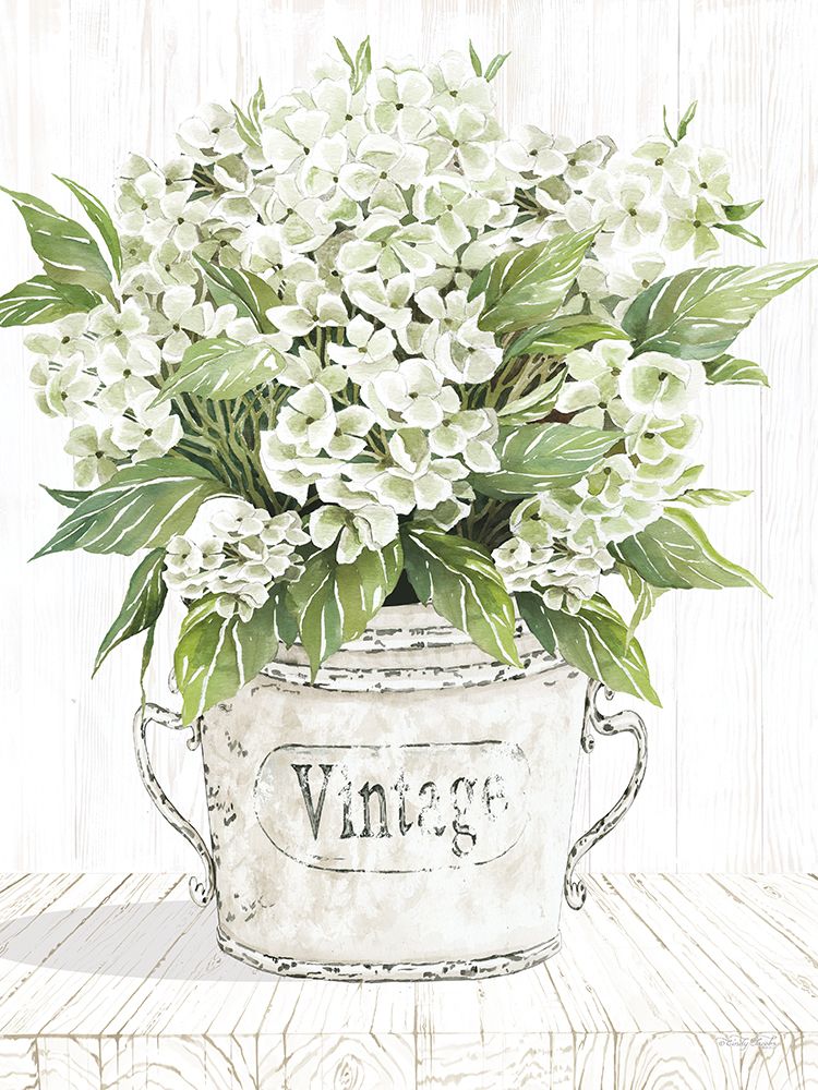 White Delight art print by Cindy Jacobs for $57.95 CAD