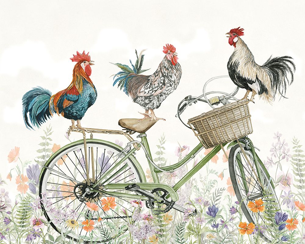 Pedaling Poultry art print by Cindy Jacobs for $57.95 CAD