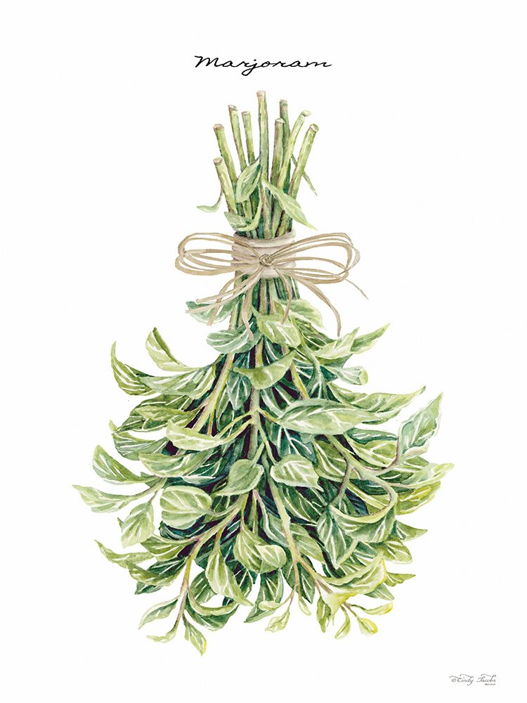 Marjoram art print by Cindy Jacobs for $57.95 CAD
