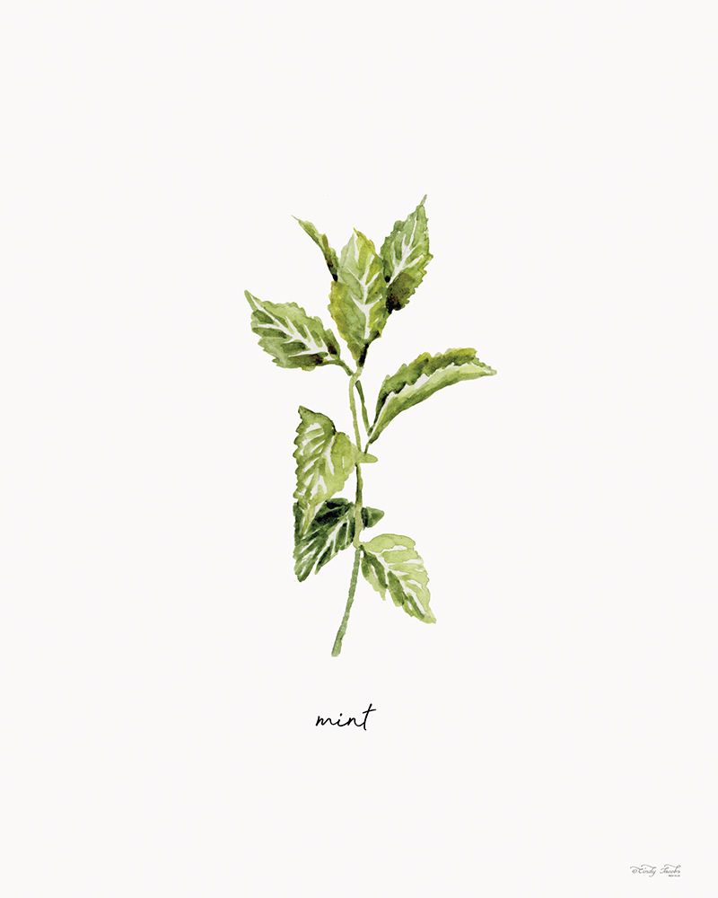 Mint Herb art print by Cindy Jacobs for $57.95 CAD